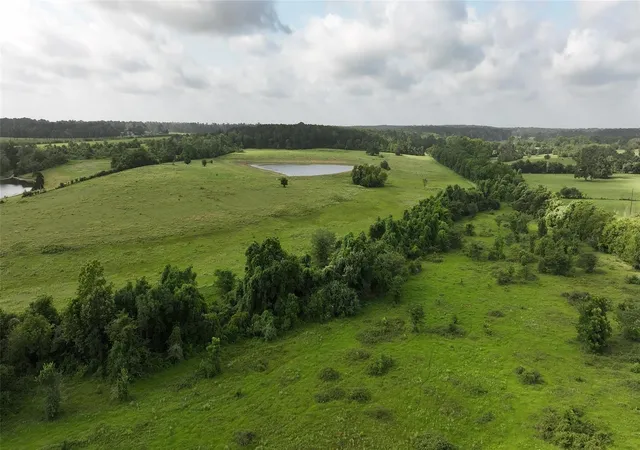 Photo 22 of Land for sale at Tbd 65 Ac Old Hwy 105, Plantersville, TX 77363 | MLS# 42116086 | Listing updated on 2026-08-11