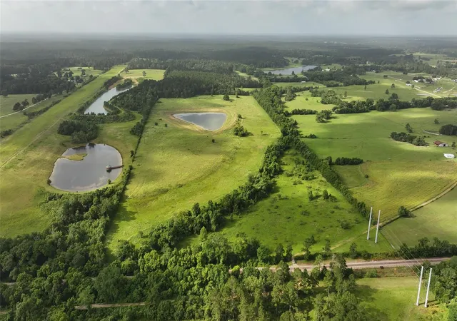 Photo 4 of Land for sale at Tbd 65 Ac Old Hwy 105, Plantersville, TX 77363 | MLS# 42116086 | Listing updated on 2026-08-11