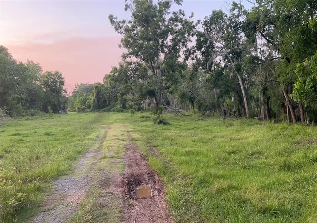 Photo 4 of Land for sale at 0 County Rd 31, Angleton, TX 77515 | MLS# 46344419 | Listing updated on 2026-09-09