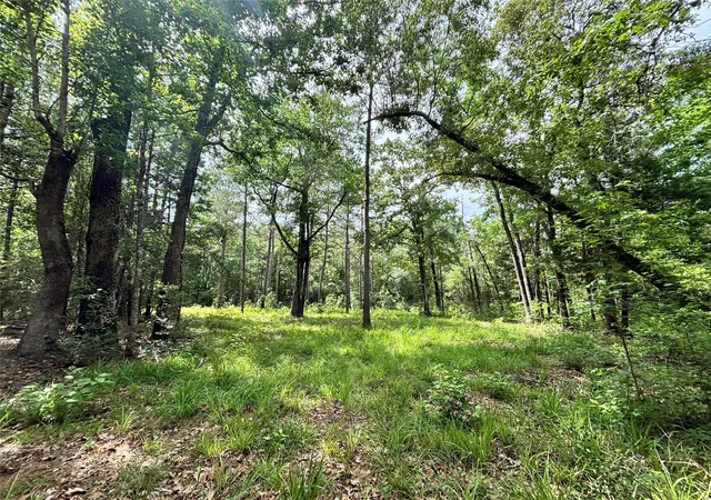 Homes for sale in Hillister, TX | 000 Peyton Lane, Hillister, TX 77624 | MLS# 41688100