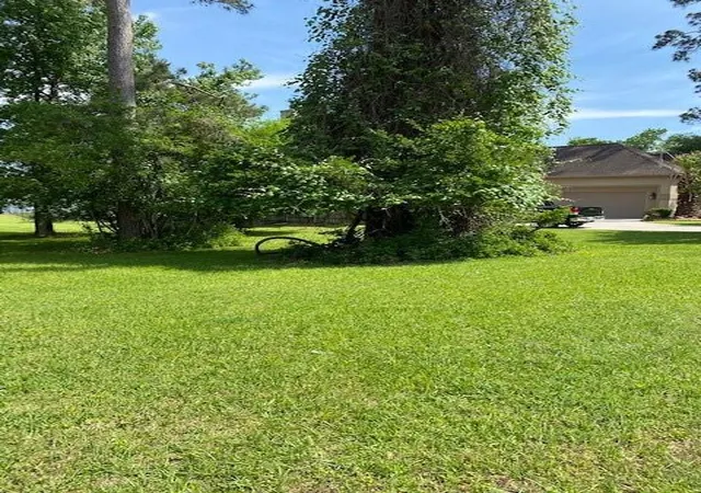 Photo 4 of Land for sale at 11823 Thoreau Dr, Montgomery, TX 77356 | MLS# 77392526 | Listing updated on 2026-09-11