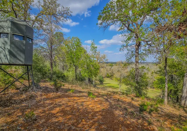 2nd image of Tbd County Road 412, Lexington, TX 78947 | MLS# 66612059