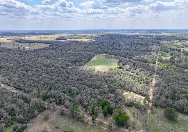 50th image of Tbd County Road 412, Lexington, TX 78947 | MLS# 66612059