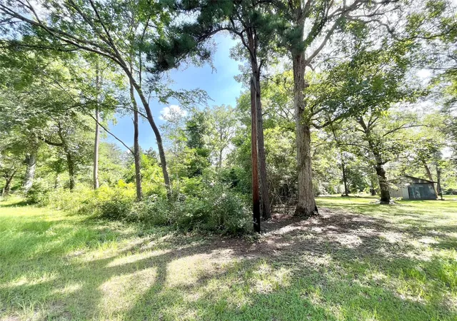 4th image of Tbd Bitter Creek Dr, Shepherd, TX 77371 | MLS# 67632769