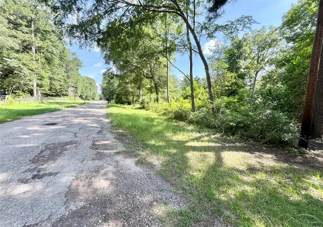 5th image of Tbd Bitter Creek Dr, Shepherd, TX 77371 | MLS# 67632769
