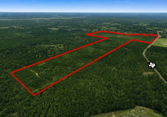 10th image of Tbd Fm 1012, Newton, TX 75966 | MLS# 20289589