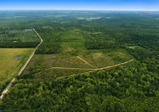 Photo 3 of Land for sale at Tbd Fm 1012, Newton, TX 75966 | MLS# 20289589 | Listing updated on 2026-09-11