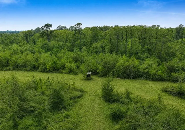 Photo 3 of Land for sale at Tbd Fm 1012, Newton, TX 75966 | MLS# 20289589 | Listing updated on 2026-09-11