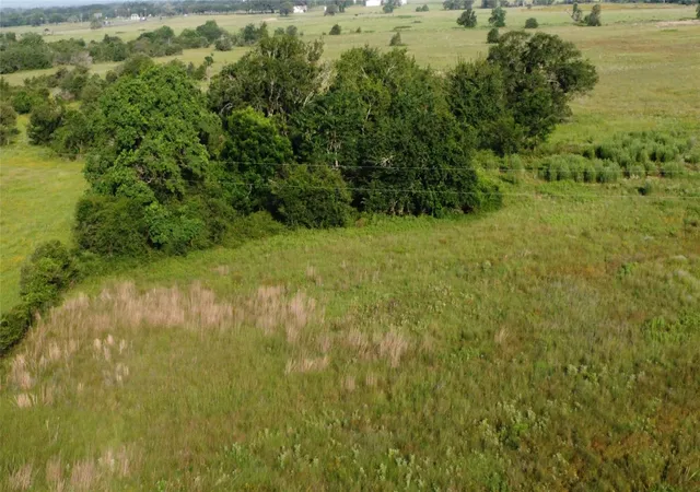 12th image of 23579 Jones Rd, Hempstead, TX 77445 | MLS# 90022459
