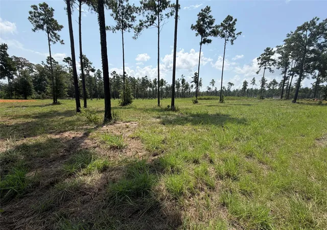 1st image of 1000 Private Road 6026, Brookeland, TX 75931 | MLS# 25809904