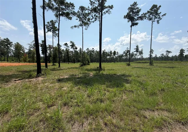 2nd image of 1000 Private Road 6026, Brookeland, TX 75931 | MLS# 25809904