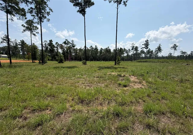 9th image of 1000 Private Road 6026, Brookeland, TX 75931 | MLS# 25809904