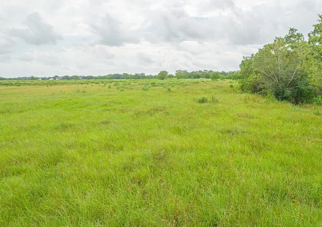 11th image of 15 Acres Bernardo Rd, Cat Spring, TX 78933 | MLS# 56244506