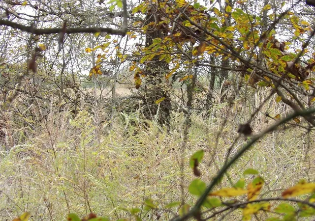image of 1401 Rs County Road 1530, Point, TX 75472 | MLS# 3875330