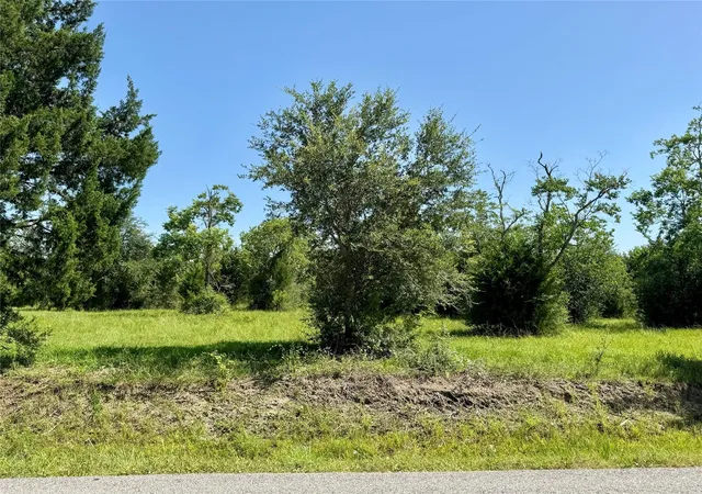 Photo 3 of Land for sale at 11969 7th Street, Santa Fe, TX 77510 | MLS# 7254446 | Listing updated on 2026-09-11