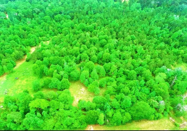Photo 1 of Land for sale at 2401 W Geronimo Trl, Cleveland, TX 77328 | MLS# 12056895 | Listing updated on 2026-05-05