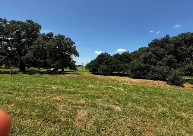4th image of 427 Knezek Rd N, Flatonia, TX 78941 | MLS# 4446700