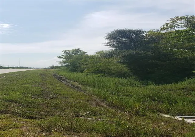 Photo 3 of Land for sale at 0 Fm 2234, Houston, TX 77053 | MLS# 39559566 | Listing updated on 2025-12-17