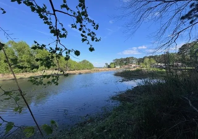 Photo 3 of Land for sale at Tbd10 Coral Gables, Trinity, TX 75862 | MLS# 6969548 | Listing updated on 2026-08-18
