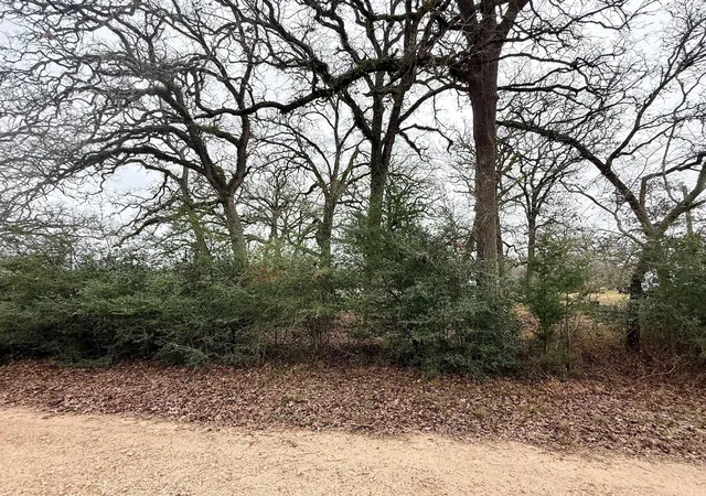 Photo 1 of Land for sale at Tbd Wannabe Rd, Bryan, TX 77808 | MLS# 45711666 | Listing updated on 2026-09-27