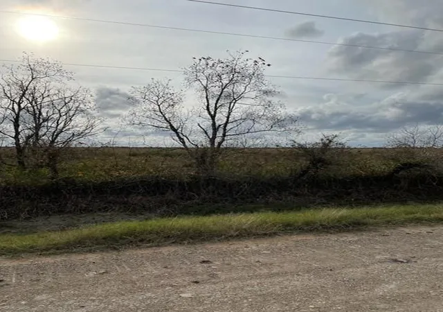 Photo 3 of Sale Pending at Tr 35b Hughes Rd, Guy, TX 77444 | MLS# 54283894 | Listing updated on 2026-09-14