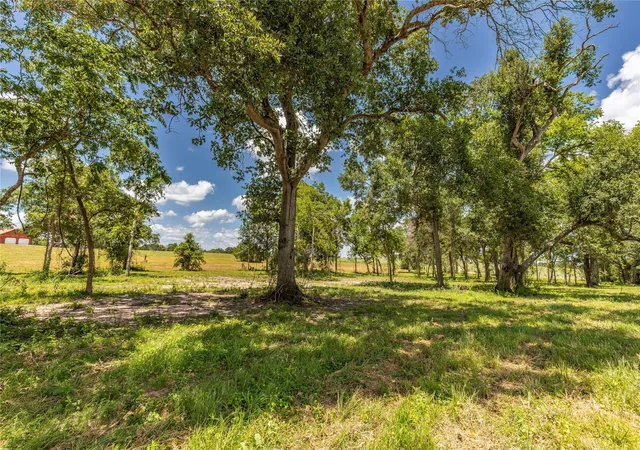 Photo 1 of Land for sale at Tbd Lynn Rd, Chappell Hill, TX 77426 | MLS# 62579159 | Listing updated on 2026-08-17