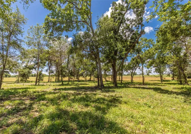 Photo 2 of Land for sale at Tbd Lynn Rd, Chappell Hill, TX 77426 | MLS# 62579159 | Listing updated on 2026-08-17