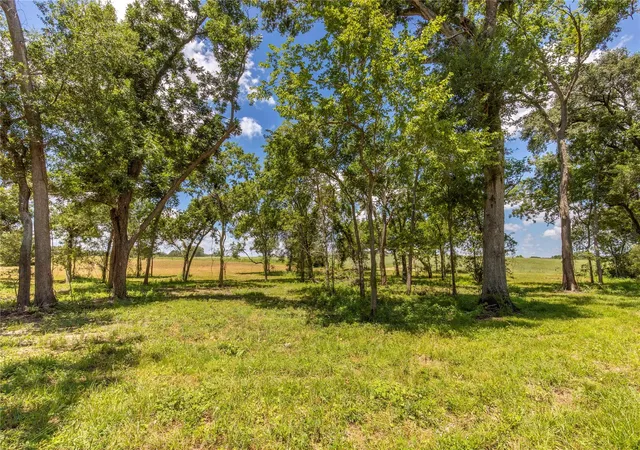 Photo 3 of Land for sale at Tbd Lynn Rd, Chappell Hill, TX 77426 | MLS# 62579159 | Listing updated on 2026-08-17