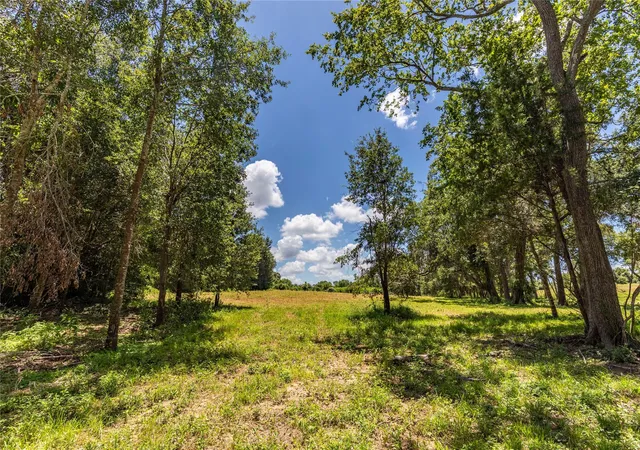 Photo 3 of Land for sale at Tbd Lynn Rd, Chappell Hill, TX 77426 | MLS# 62579159 | Listing updated on 2026-08-17