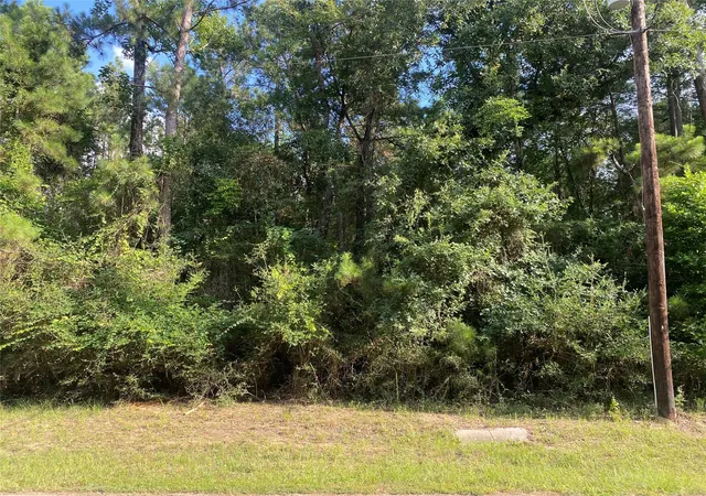 Photo 3 of Land for sale at 19410 Veterans Rd, Magnolia, TX 77355 | MLS# 26507931 | Listing updated on 2026-07-18