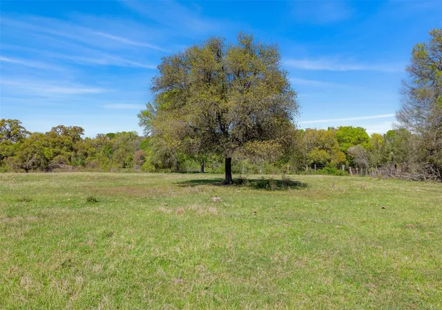 Photo 3 of Land for sale at 000 Dannheim Rd, Brenham, TX 77833 | MLS# 80551919 | Listing updated on 2026-09-15