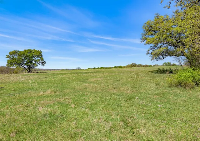 Photo 3 of Land for sale at 000 Dannheim Rd, Brenham, TX 77833 | MLS# 80551919 | Listing updated on 2026-09-15