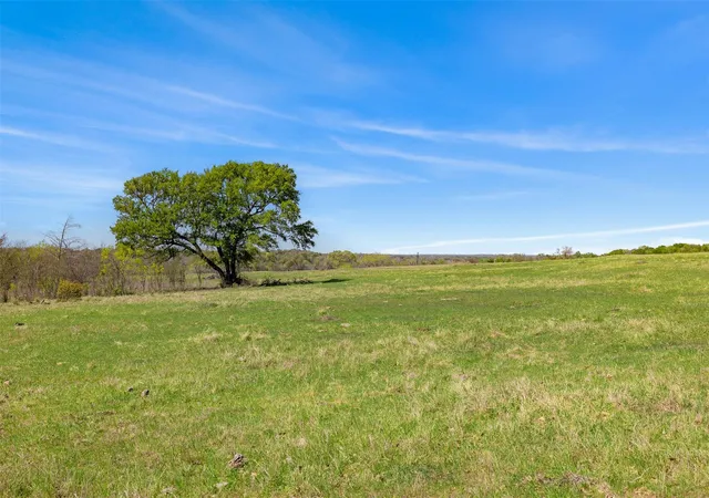 Photo 4 of Land for sale at 000 Dannheim Rd, Brenham, TX 77833 | MLS# 80551919 | Listing updated on 2026-09-15