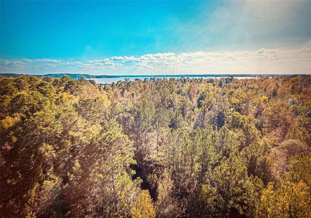 Photo 3 of Sale Pending at Tbd Adventure Trl, Trinity, TX 75862 | MLS# 54059642 | Listing updated on 2026-08-28