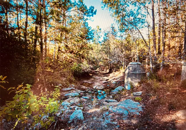 Photo 6 of Sale Pending at Tbd Adventure Trl, Trinity, TX 75862 | MLS# 54059642 | Listing updated on 2026-08-28