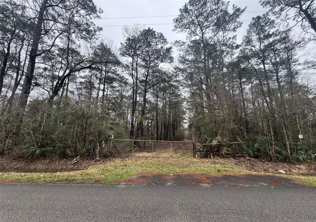 image of 0 La Due Ln, Crosby, TX 77532 | MLS# 65039003