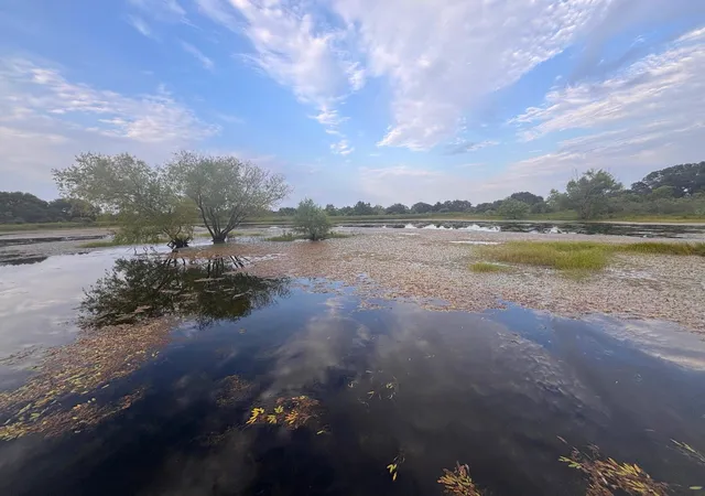 Photo 3 of Land for sale at 3295 Fm 949, Cat Spring, TX 78933 | MLS# 10107617 | Listing updated on 2026-08-07