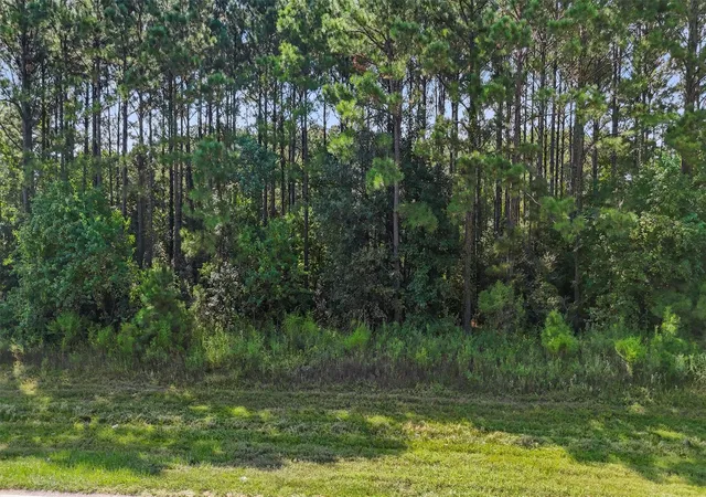 Photo 3 of Land for sale at 1465 Road 5018, Cleveland, TX 77327 | MLS# 10291020 | Listing updated on 2026-06-25
