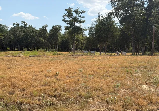 Photo 3 of Land for sale at 3803 Pr 4100 W, Marquez, TX 77865 | MLS# 50479808 | Listing updated on 2026-10-03