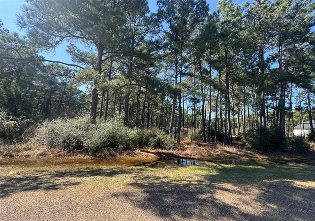 2nd image of 0 Grant Rd, Cypress, TX 77429 | MLS# 28544274