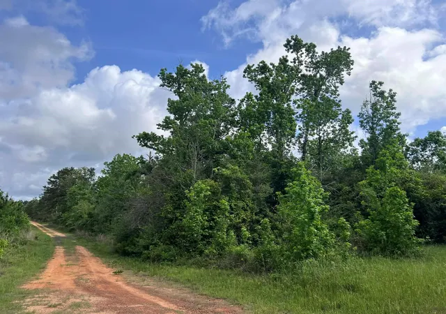 Homes for sale in Newton, TX | 000 County Road 2041, Newton, TX 75966 | MLS# 63293407