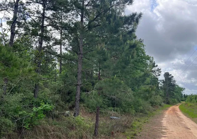 Homes for sale in Newton, TX | 000 County Road 2041, Newton, TX 75966 | MLS# 63293407