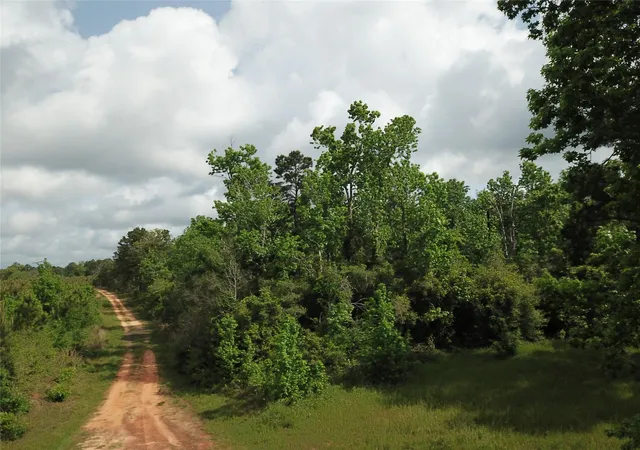 3rd image of 000 County Road 2041, Newton, TX 75966 | MLS# 63293407