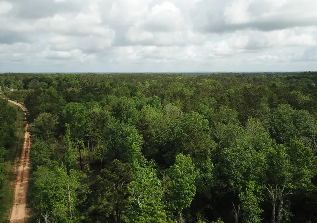 4th image of 000 County Road 2041, Newton, TX 75966 | MLS# 63293407
