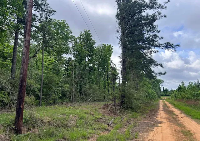 5th image of 000 County Road 2041, Newton, TX 75966 | MLS# 63293407
