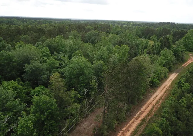 Homes for sale in Newton, TX | 000 County Road 2041, Newton, TX 75966 | MLS# 63293407