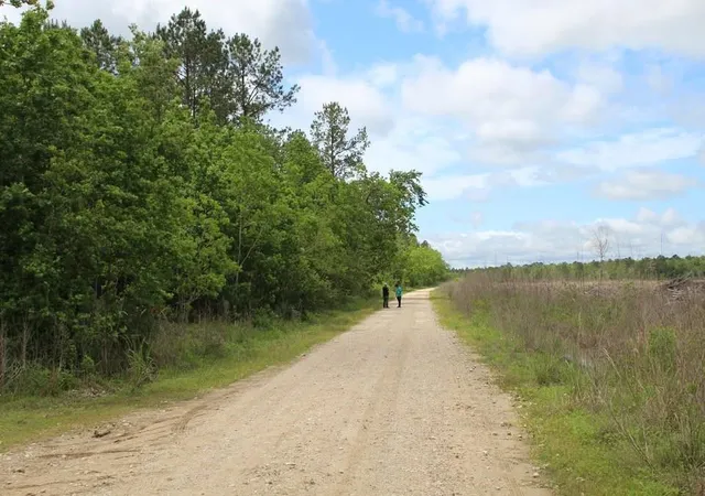 2nd image of 000 Gates, Devers, TX 77538 | MLS# 4088355