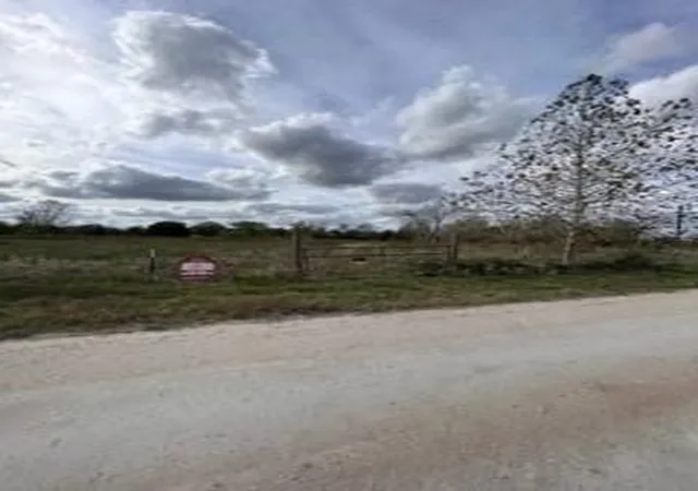Photo 2 of Land for sale at 25181 Bedias Dr, Bedias, TX 77831 | MLS# 36866240 | Listing updated on 2026-07-24