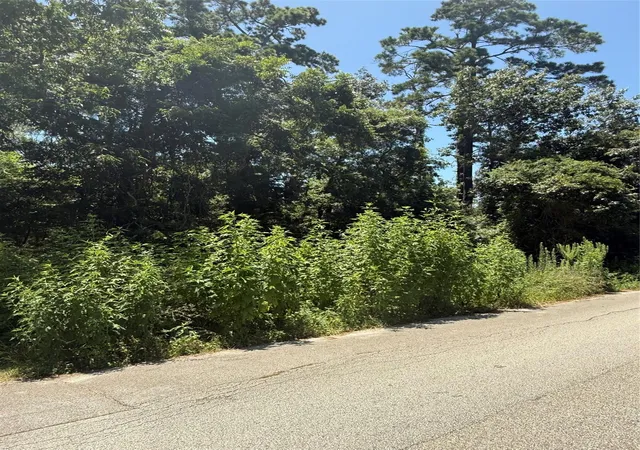 2nd image of 0000000 Big Deer Dr, Crosby, TX 77532 | MLS# 88424159