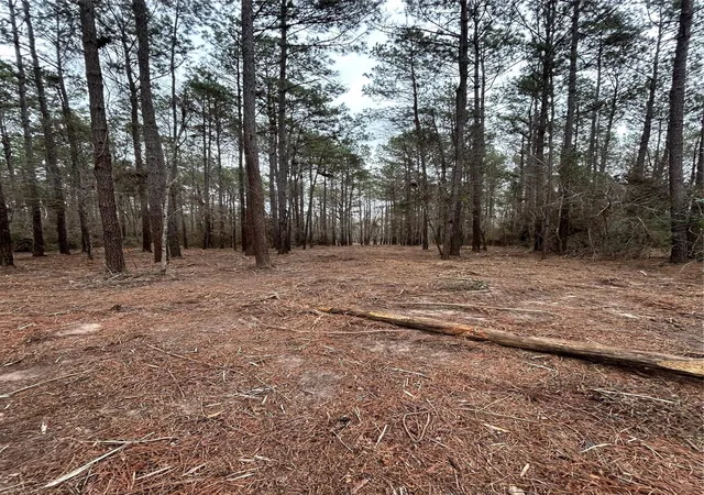 Photo 2 of Land for sale at 11885 Dawn Tree Ln, Willis, TX 77378 | MLS# 64252717 | Listing updated on 2026-06-10